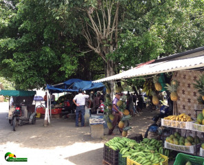 You get the best selection and freshest produce from street stalls