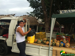 He offers fresh sugar cane juice and fruit for sale.  Downtown Puerto Armuelles