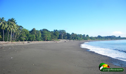 Beach in Pez de Oro neighborhood