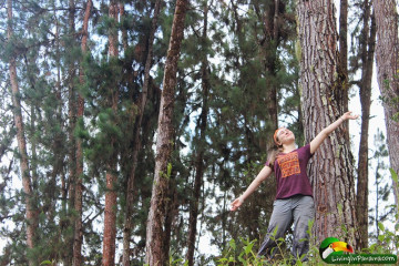Skylar enjoying the tall mountain pine trees