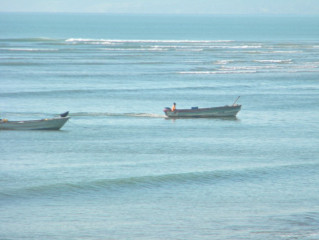 You can watch the fishing boats or join them.