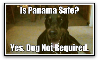 Doberman Pincher with text stating Panama is Safe