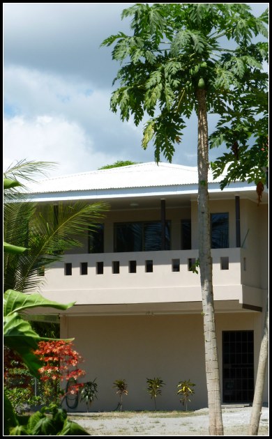 New looking 2 story tan stucco house and palm trees