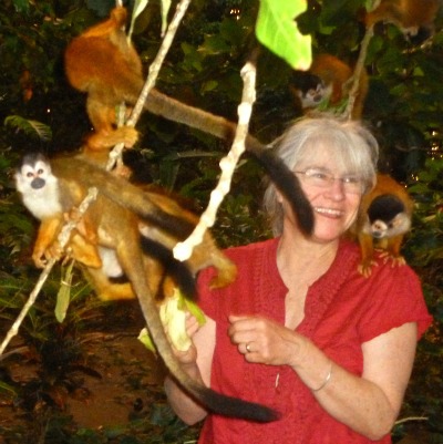 woman feeding monkeys in jungle setting