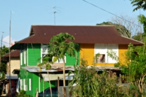 Side-by-side duplex. half painted bright green, half bright yellow