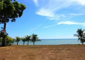photo of flat land with ocean and palm trees