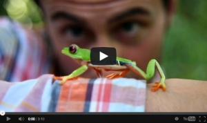 YouTube Screenshot of guy looking at a tree frog - close up