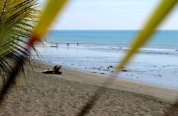 Photo of beach and fishermen through palm fronds