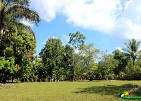 large, flat, grass area surrounded by trees