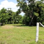 Flat grassy site with trees in background and white post in foreground