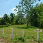 Photo of flat grassy lot, white fence posts, trees & blue sky