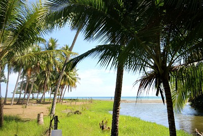 Photo of river with ocean beyond and palm trees