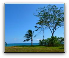View of property and big blue sky with trees and ocean in distance