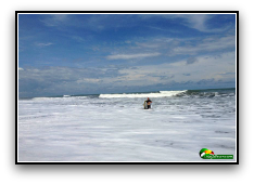 surf foam, small waves, man standing in ocean with surfboard
