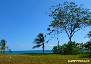 Vividly blue sky, trees at property edge, flat grassy area, and ocean beyond