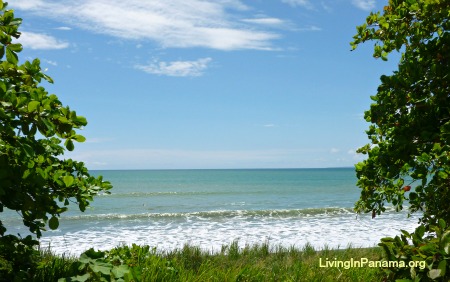 Ocean, blue sky, while cloud, framed by green trees and grass
