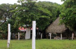 Photo of beachfront lot in Puerto Armuelles Panama