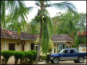 Brown tiled roofed building, palm trees, parking lot