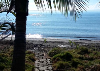 View of paved path to the beach with fringe of palm tree in view