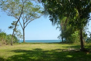 Photo of a flat and grassy beachfront lot for sale