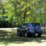 Photo of blue car parked in a grassy area with trees