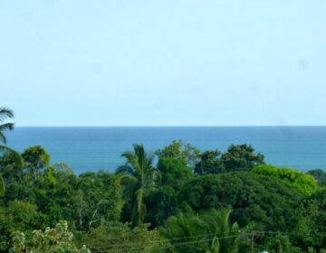 Photo of blue ocean, blue sky, tops of trees