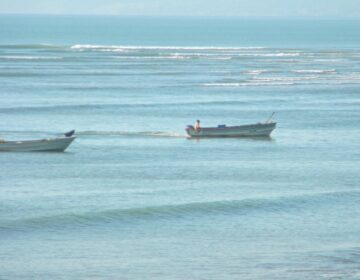 calm ocean with 2 fishing boats going by close to shore