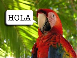 A macaw saying Hola