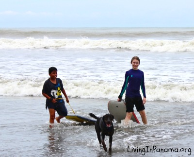 Girl, boy, and dog playing at the beach
