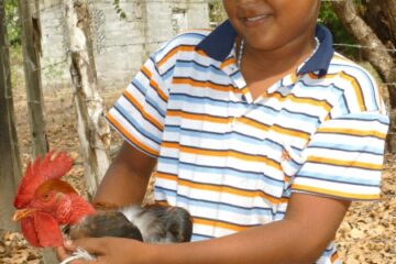 boy holding a chicken in Panama