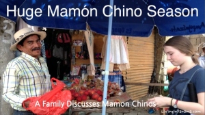Panamainian vender sells Mamon Chinos
