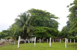 photo of grassy lot, white fence posts, trees and boat in background