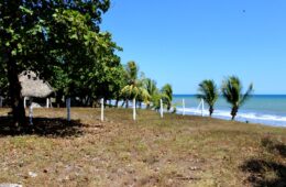 Photo of 2 beachfront lots, white fence post, trees, ocean