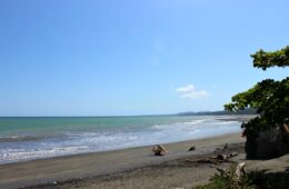 Photo of beach and ocean