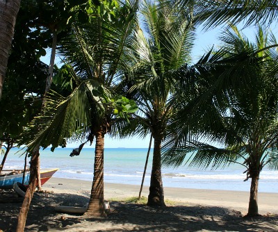 palm trees, bow of fishing boat, beach, and blue ocean and sky