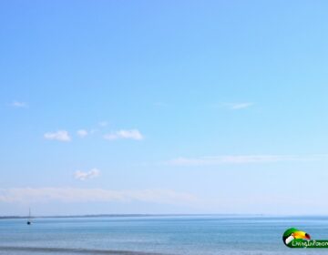 Big blue sky & ocean, with a sailboat in the distance