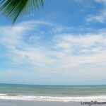 Ocean view framed by swirling white clouds and a green palm frond