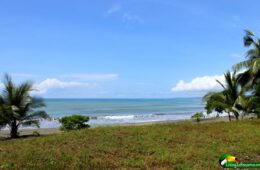 grassy flat land, big ocean and sky view