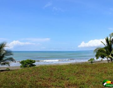 grassy flat land, big ocean and sky view