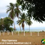 palm trees, white fence posts, the ocean in background