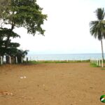 Flat and level beachfront building site . Framed by trees.