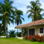 Adobe style house on green lawn with palm trees