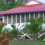 Tropical house with red metal roof and palm trees in the yard