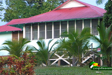 Tropical house with red metal roof and palm trees in the yard