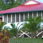 green colored tropical house with red metal roof