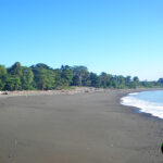 Long beach view with trees and houses in distance