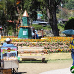 decorative windmill, popcorn vendor, bench, and flowers