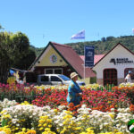 small shops, flower displays and walkers