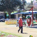 Cartoon strawberry and man walking by