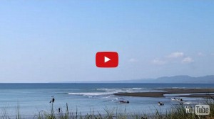 screenshot of video showing beach grass, ocean, and view